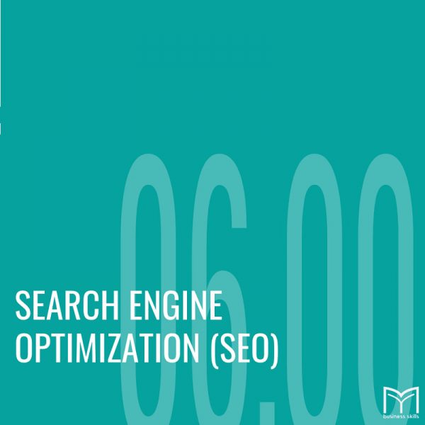 Search Engine Optimization Course from My Business Skills